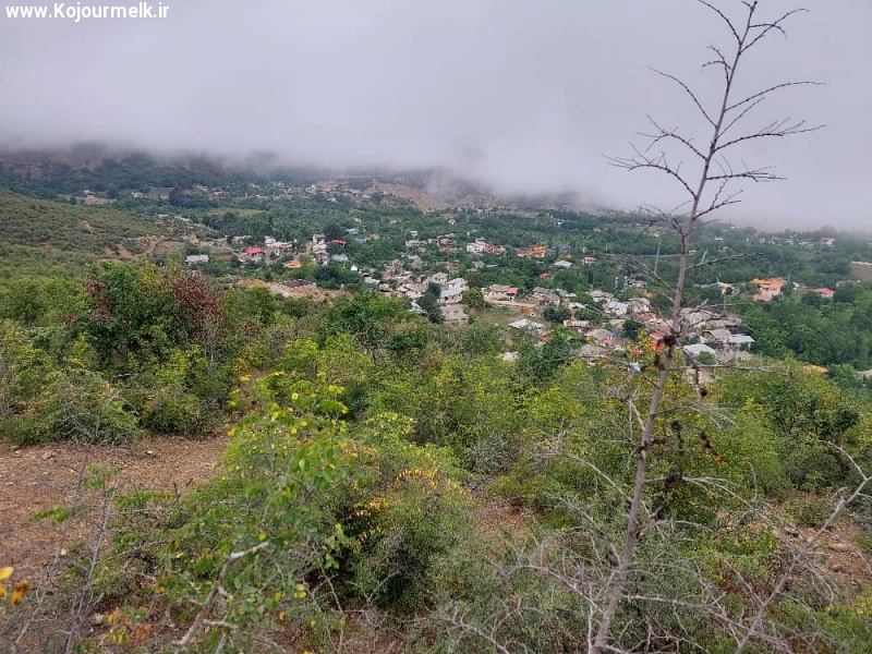 زمین کشاورزی با موقعیت مکانی منحصر به فرد